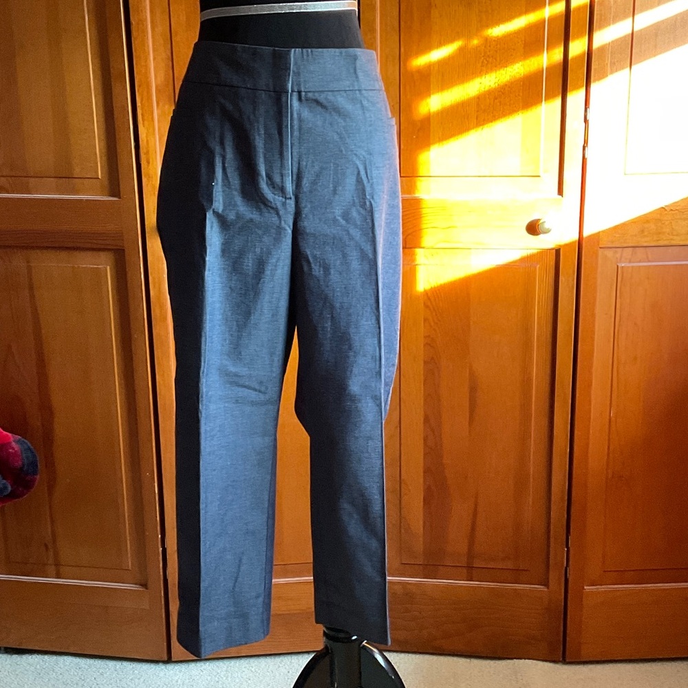 Ann Taylor Factory Blue Cropped Pants